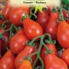 Seminte Tomate Radana 0.4g
