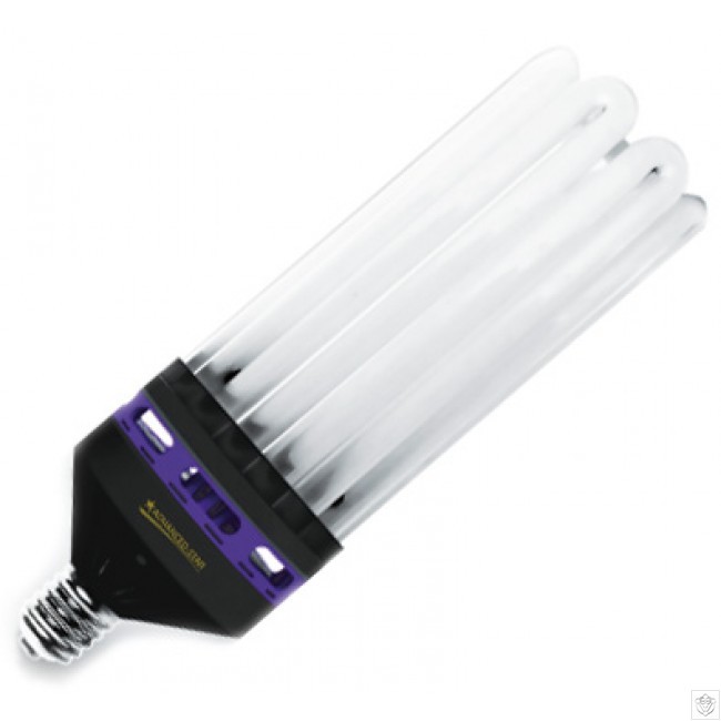 family screw Sweeten LAMPA CFL PROSTAR 125W BLOOM – Produse pentru Gradina si Plante